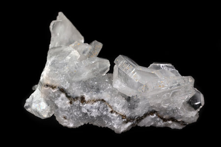 Apophyllite crystal cluster, mineral from India isolated on a pure black backgroundの写真素材