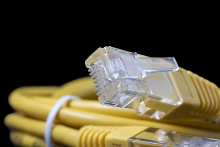 internet cable and RJ45 plug connector.の写真素材
