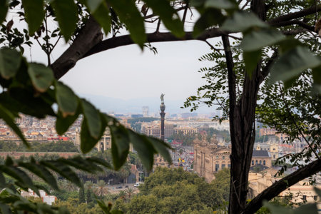 Barcelona's Christopher Columbus statue and Drassanes square seen between some trees.の写真素材