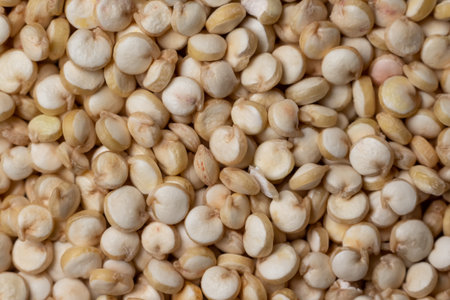 Real quinoa flat lay macro photography. Uniform background texture.の写真素材