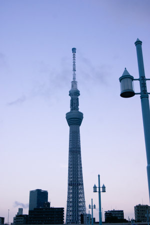 Tokyo, Japan - July 27, 2019: Tokyo Skytree tower seen at twilight from the district of Asakusa.のeditorial素材