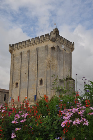 flowers in front of a medieval dungeon in Franceの写真素材
