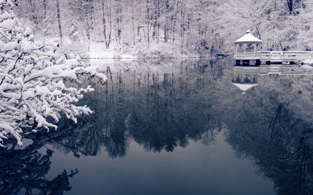 Fresh snow flocks the trees surrounding this rural pond with a gazebo and still water with clear reflections creating a tranquil winter sceneの写真素材