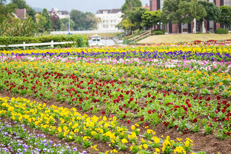 Flower garden backgroundの写真素材