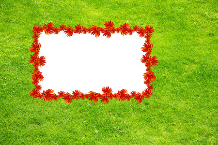 summer green grass whit a paper and flowersの写真素材