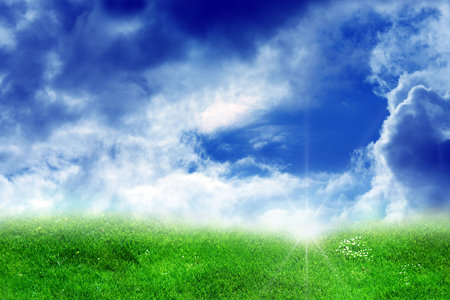 field of summer green grassの写真素材