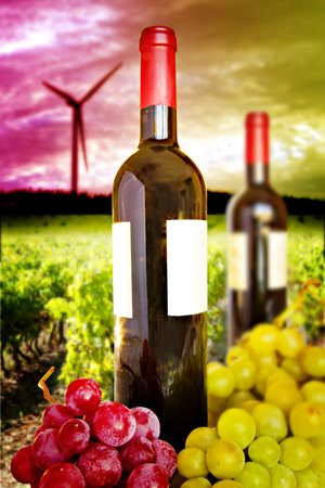 bottles of wine with grape clusters in the foregroundの写真素材