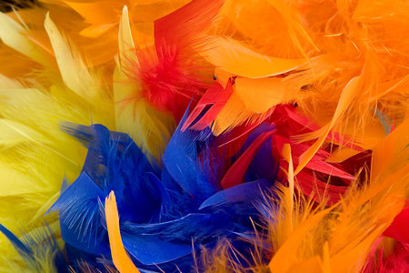 multicolored feathers,blue,red,orange and yellowの写真素材