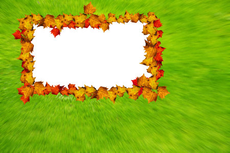 white text box surrounded by autumn leaves in the background of green grassの写真素材