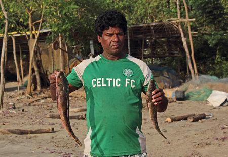 Siridao Beach, Goa, India - December 20, 2015 - unknown local traditional fisherman from Goa, India, showing freshly caught fish.のeditorial素材