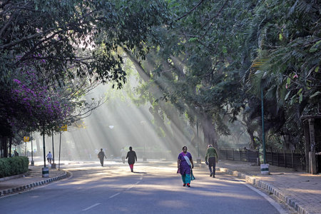 Bangalore, India - December 16, 2013: Men and women walk along a Bangalore road on a misty and sunny morning. For Editorial use onlyのeditorial素材