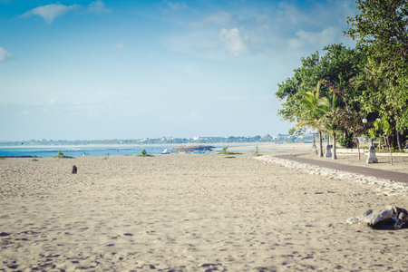 Sunny Beachの写真素材