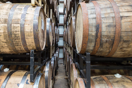 Beer Aging in Barrelsの写真素材