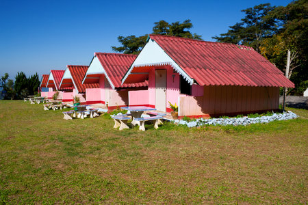 Arranged pink houses in a yardのeditorial素材