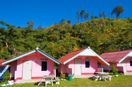 Arranged pink houses in front of a mountainのeditorial素材