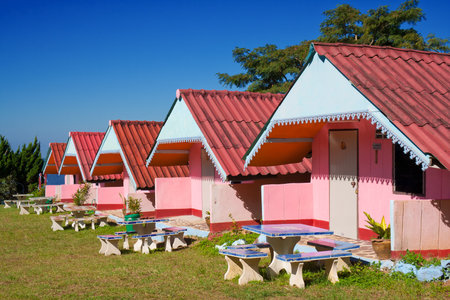 Arranged pink houses in a yardのeditorial素材