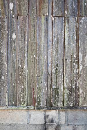The old wallの写真素材