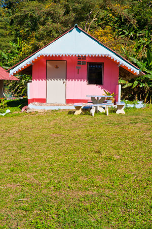 A pink houseのeditorial素材