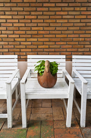 Plant in flowerpot on wood chairの写真素材