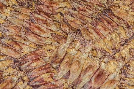 Dried squidの写真素材