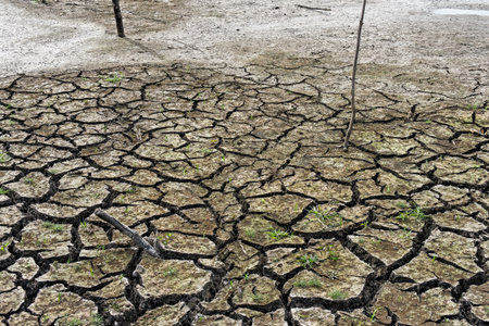 A dry lakeの写真素材