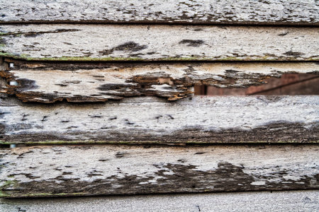 Decay wooden wall