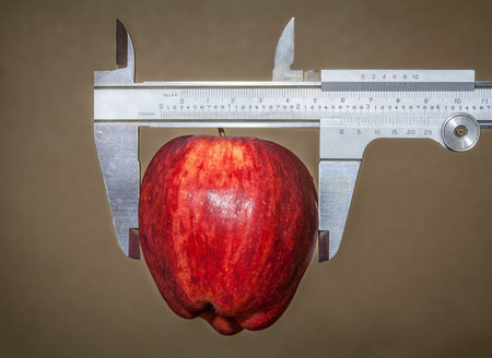 Conceptual image of calipers and appleの写真素材