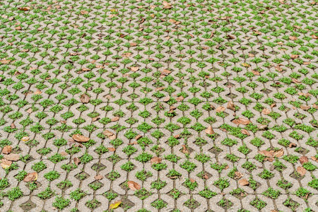 Decorative exterior floor