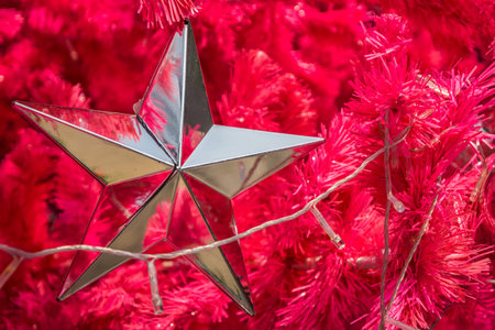 Christmas festive seasonの写真素材