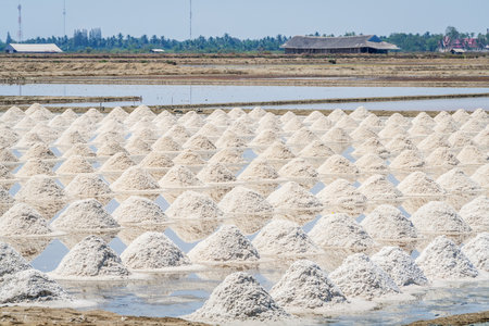The harvest times of salt in salt evaporation pond in Thailandの写真素材