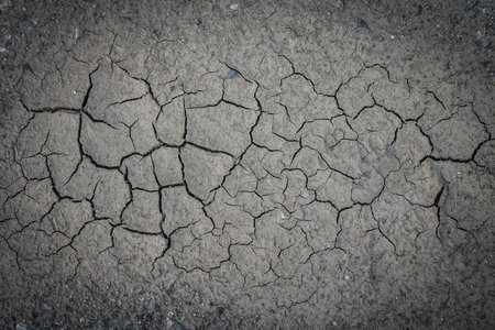 Cracked soil in drought area