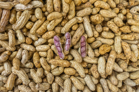 The peanuts for sale in Thai fresh market. The peanut or groundnut or Arachis hypogaea is a species...
