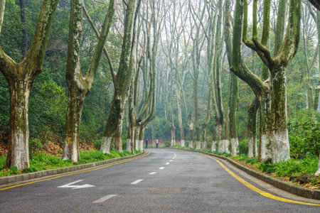 The roadway to the Memorial Hall garden of former president Dr.Sun Yat-sen of Mount Zijin (Purple Mountain) in Nanjing, China.のeditorial素材