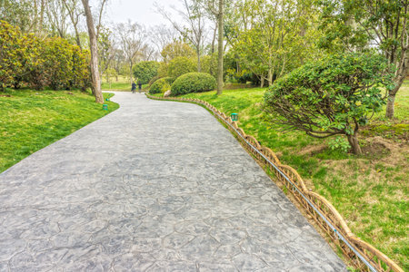 The pavement way in a garden