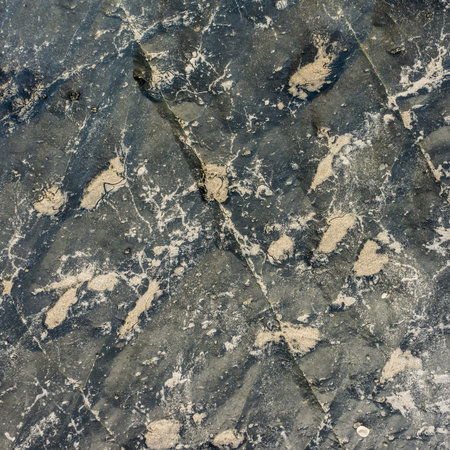 The rock on the beach for background and texture