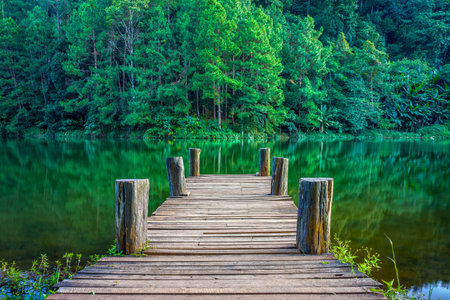 Tranquil scene of wooden pier in natural Huai Makhuea Som lake. The scene is in tropical forest of Mae Hong Son province, Northern Thailandの写真素材