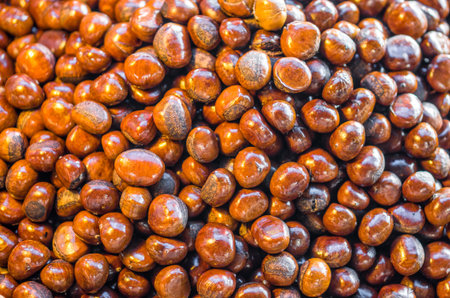 Pile of roasted chestnuts for retail sale in Thailand food marketの写真素材