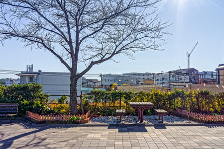 Seats and table for relaxation in small garden. The garden is nearby sidewalk in urban.の写真素材