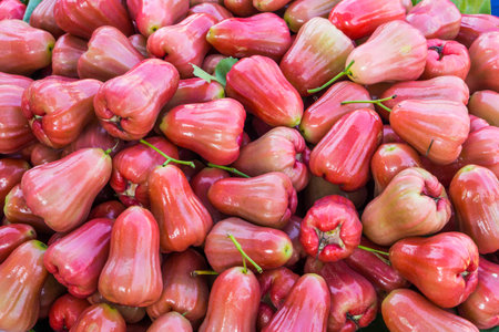Heap of ripe rose apple for sale in Thailand market. The scientific binomial name is Syzygium samarangense.の写真素材