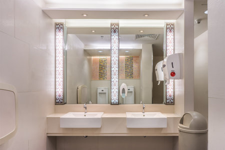 Clean modern restroom with light. It consists of new mirror, ceramic washbasins, granite countertop,liquid soap, plastic bin and toilet paper roll.のeditorial素材