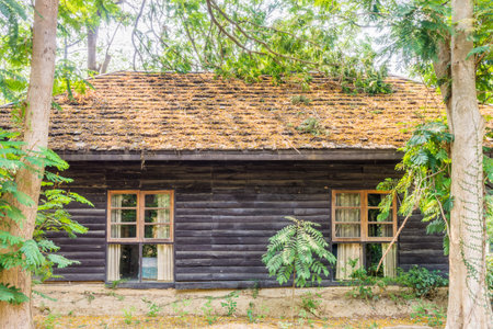 Old house in forest. It is constructed with wood.の写真素材