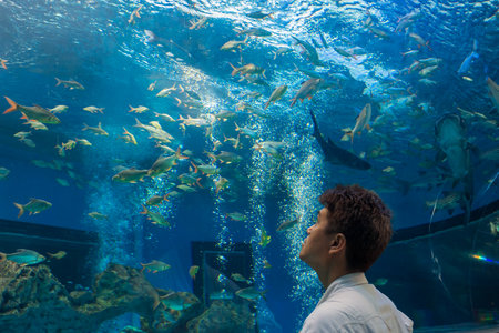 Man or tourist is looking at fishes in freshwater aquarium. He is an Asian people.の写真素材