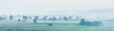Panorama landscape view of agriculture field with fog in the morning. The area is at rural or countryside in Thailand, Southeast Asia.の写真素材