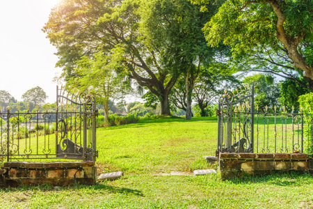 Outdoor open vintage metal gate in a garden. Showing a landscape view to big Albizia Saman tree.の写真素材