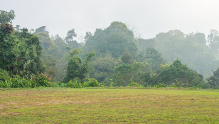 Flat land with grass on hilltop in winter season. It is located on Khao Phanoen Thung mountain in Thailand, Southeast Asia.の写真素材