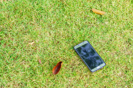 Touchscreen mobile phone on green grass. It is at garden of backyard.の写真素材