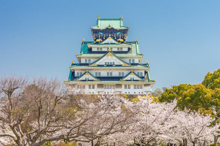 Main tower of Osaka Japanese Castle over Sakura flowers view from  Cherry Blossom Nishinomaru Garden. The old heritage building and most famous landmark in Osaka, Japan, Asia.のeditorial素材