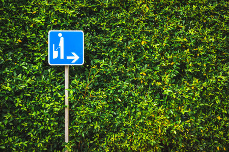 Toilet sign in front of tree fence in landscape orientation. Tree is Ficus altissima Blume or Lofty Fig.の写真素材