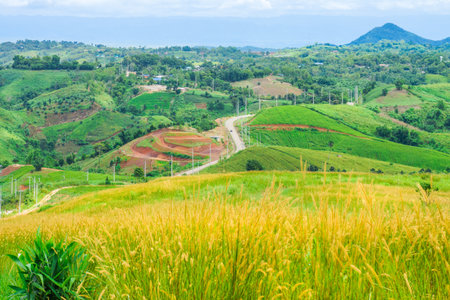 Hilly view with winding road. The location in Khao Kho District, Phetchabun, Thailand, Southeast Asia.の写真素材