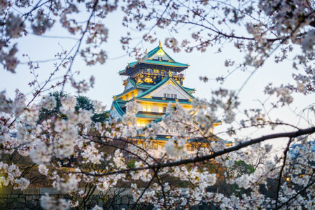 Tower of Osaka Japanese Castle with cherry blossom flowers. The old heritage building and most...